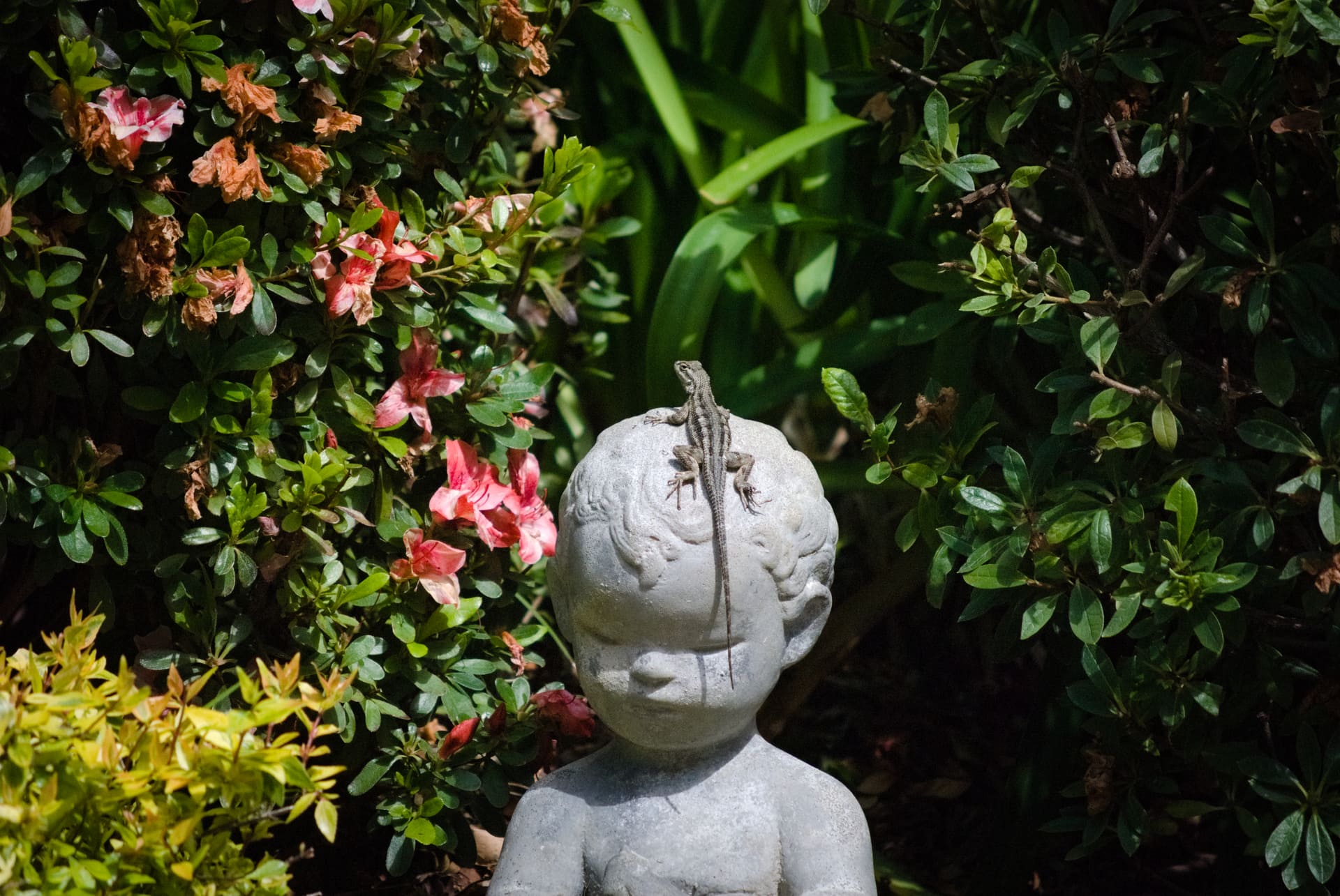 Lizard on a baby statue